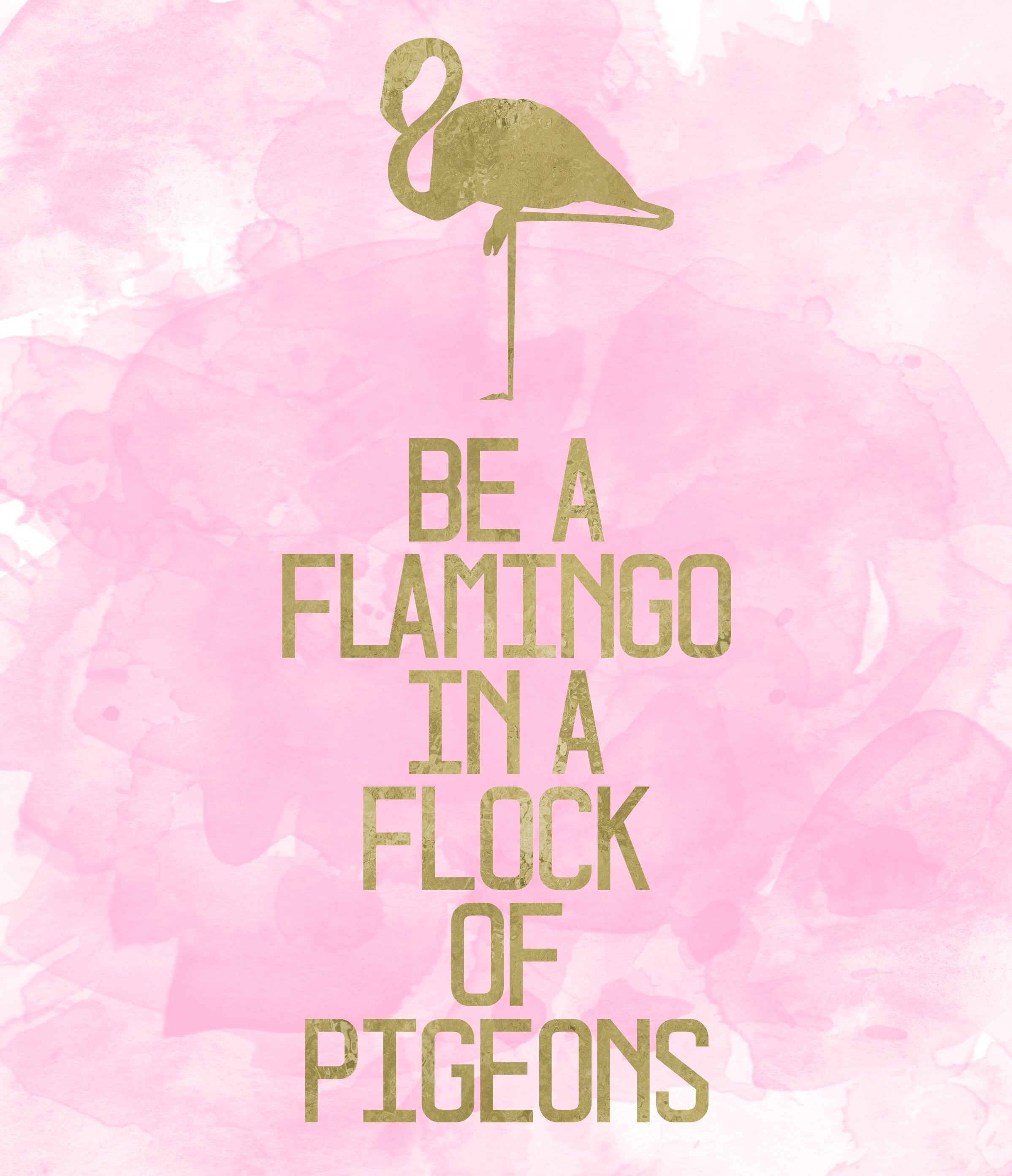 Sometimes it’s hard to be a flamingo